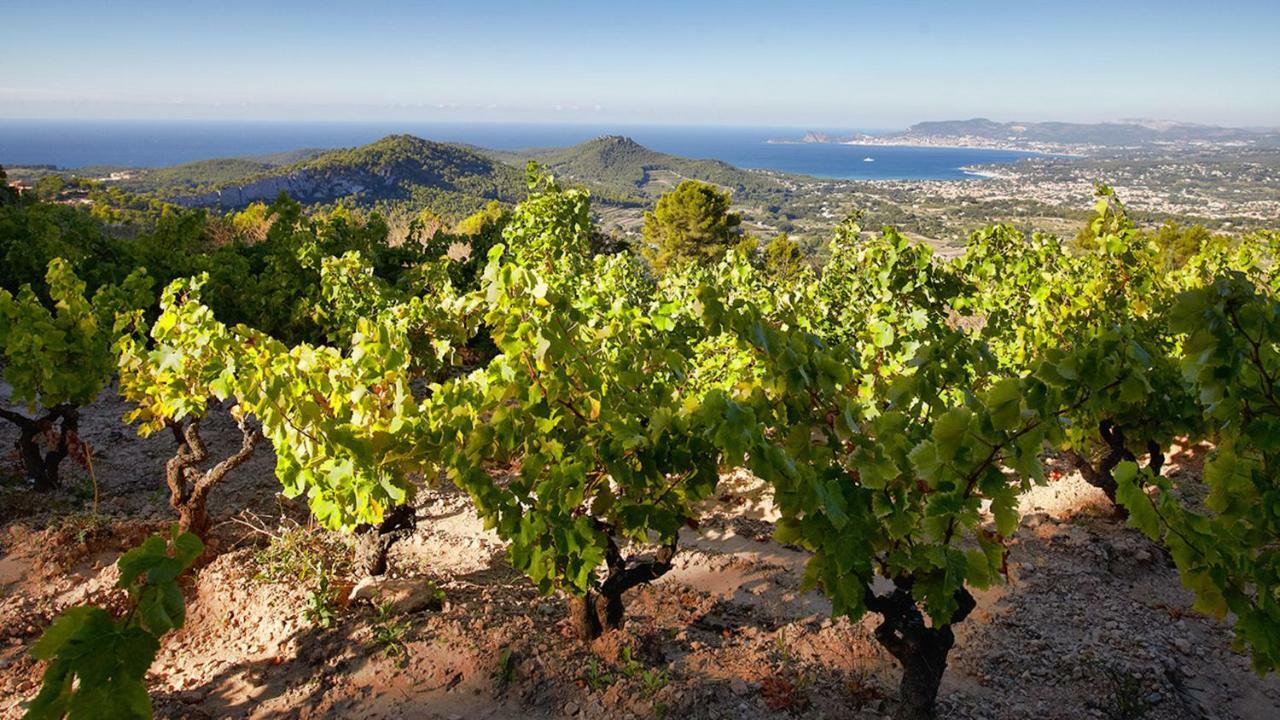Le Belvedere Bandol Zewnętrze zdjęcie